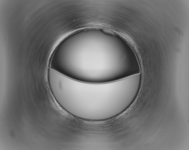 X0000111651296200907171051