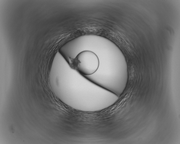 X0000111651297200907171050