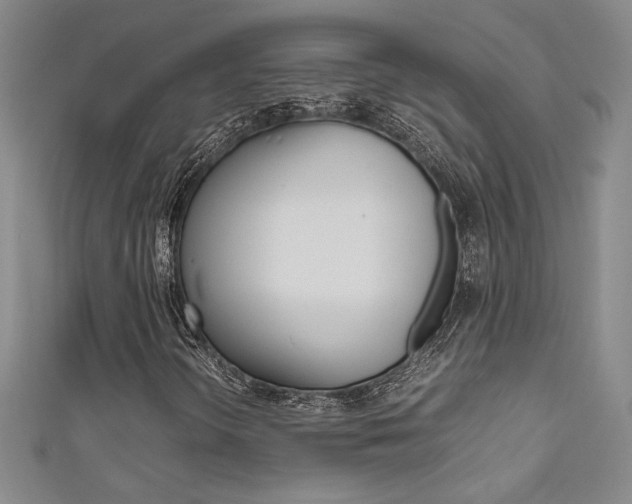 X0000111651298200907171050