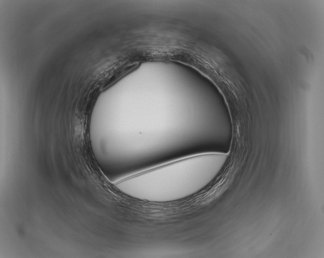 X0000111651300200907171050