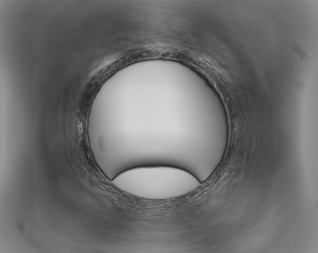 X0000111651302200907171050