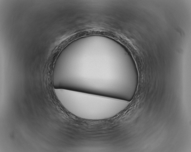 X0000111651303200907171050