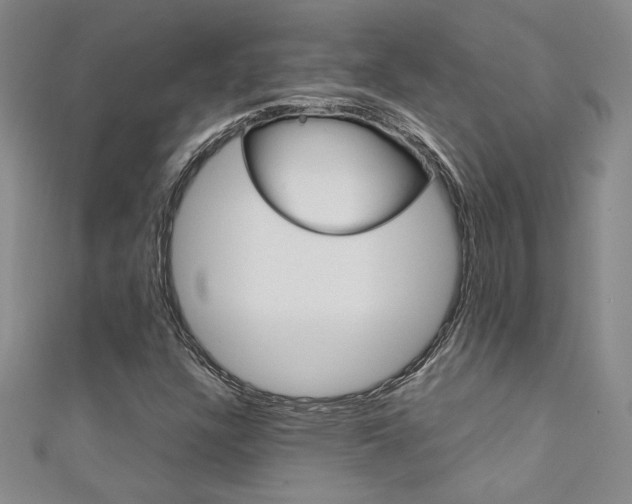 X0000111651304200907171050