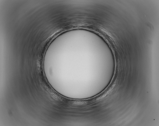 X0000111651305200907171050