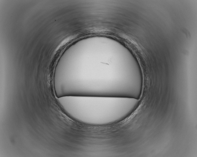 X0000111651306200907171050