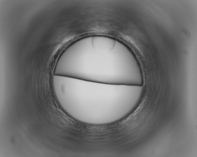 X0000111651307200907171050