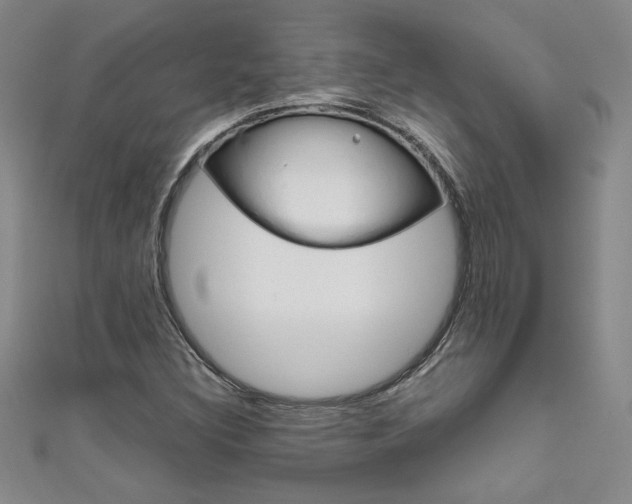 X0000111651308200907171050