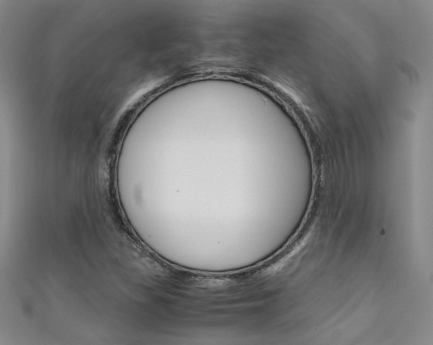 X0000111651309200907171050