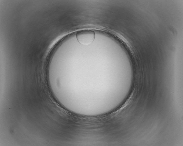 X0000111651310200907171050