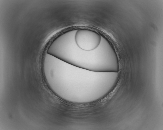 X0000111651311200907171050