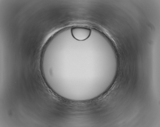 X0000111651312200907171050