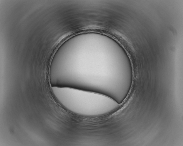 X0000111651313200907171050