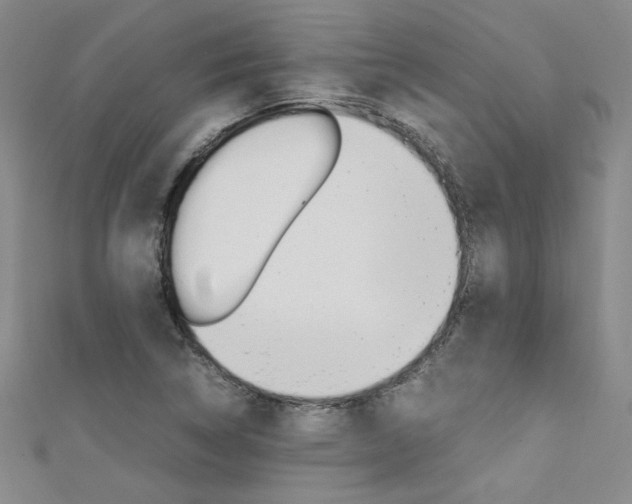 X0000111651314200907171050