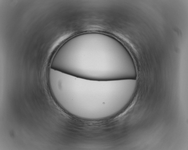 X0000111651317200907171050