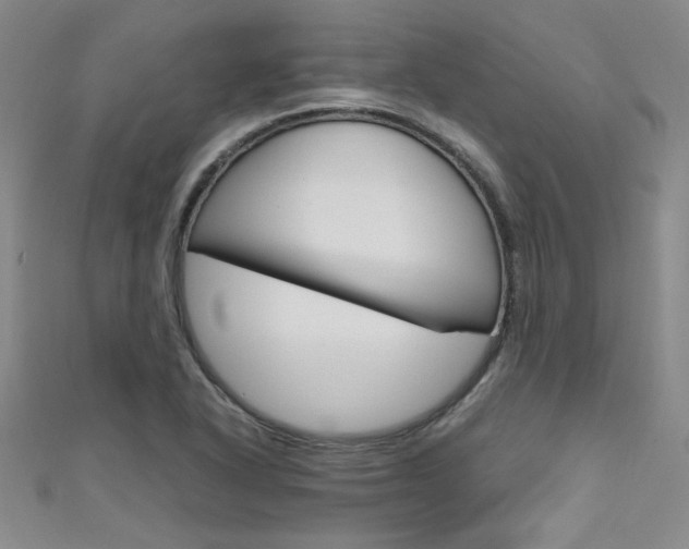X0000111651318200907171050