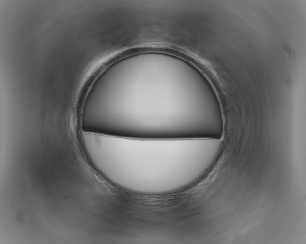 X0000111651319200907171050