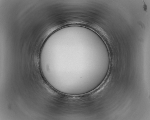 X0000111651321200907171050
