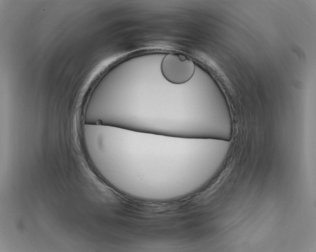 X0000111651323200907171051