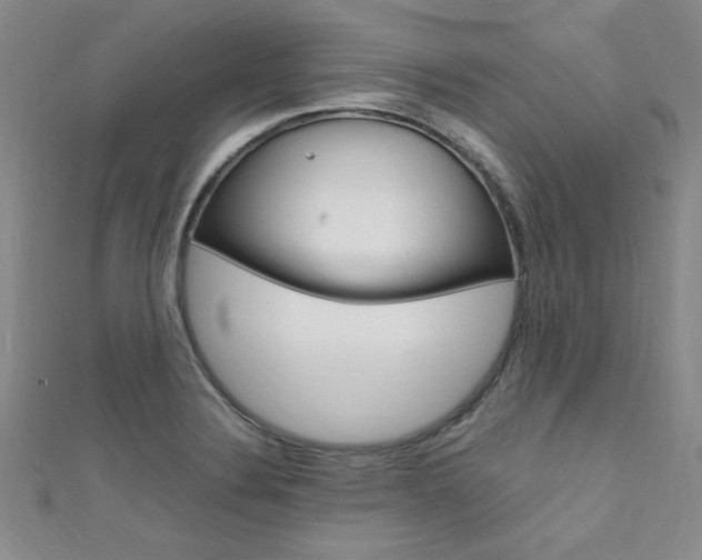 X0000111651324200907171051
