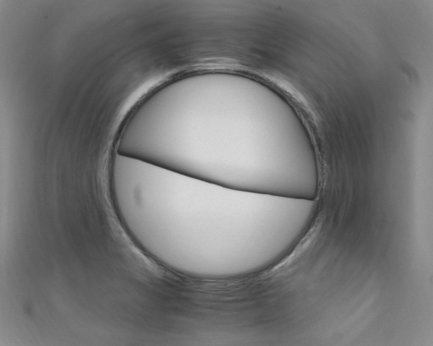 X0000111651325200907171051