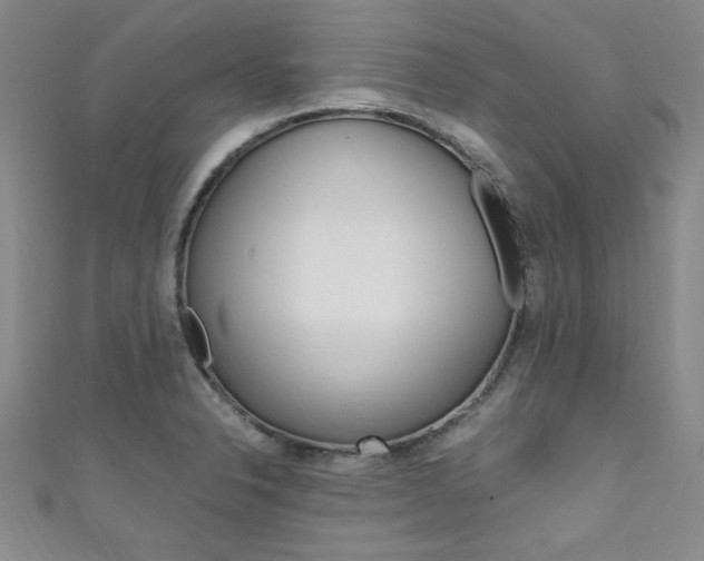 X0000111651326200907171051