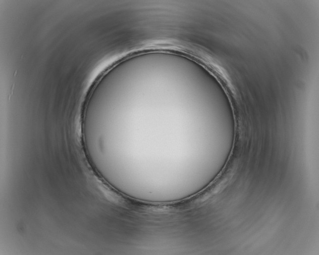X0000111651328200907171051