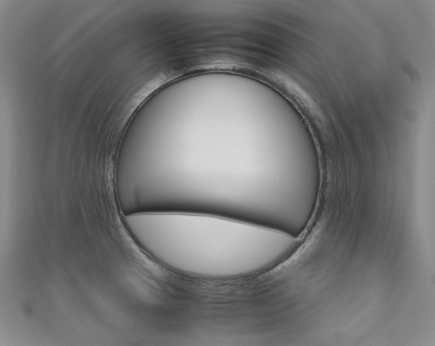 X0000111651329200907171051