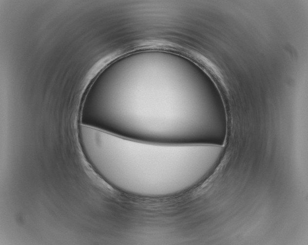 X0000111651330200907171051