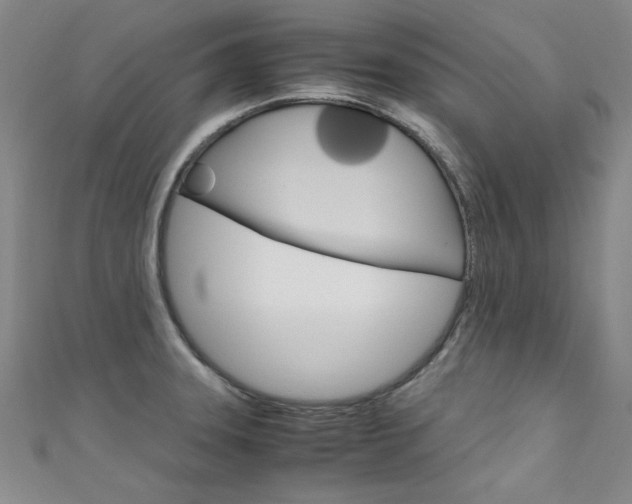 X0000111651331200907171051