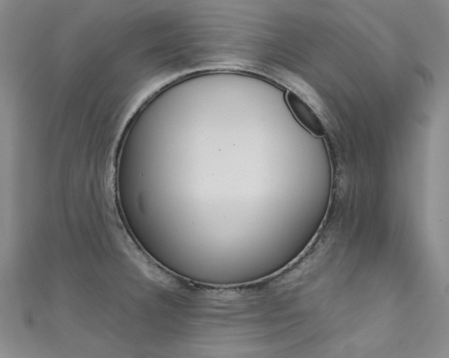 X0000111651332200907171051