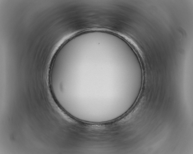 X0000111651333200907171051