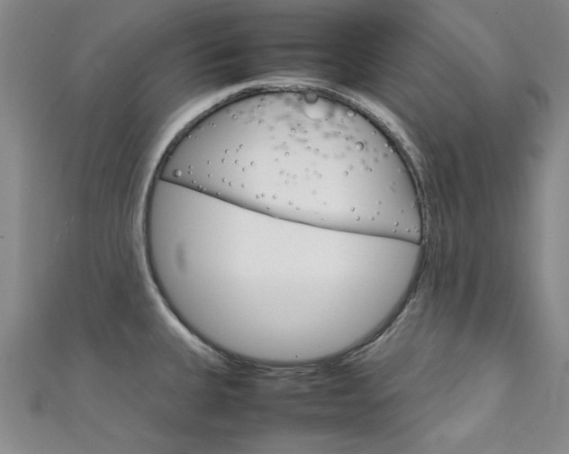 X0000111651335200907171051