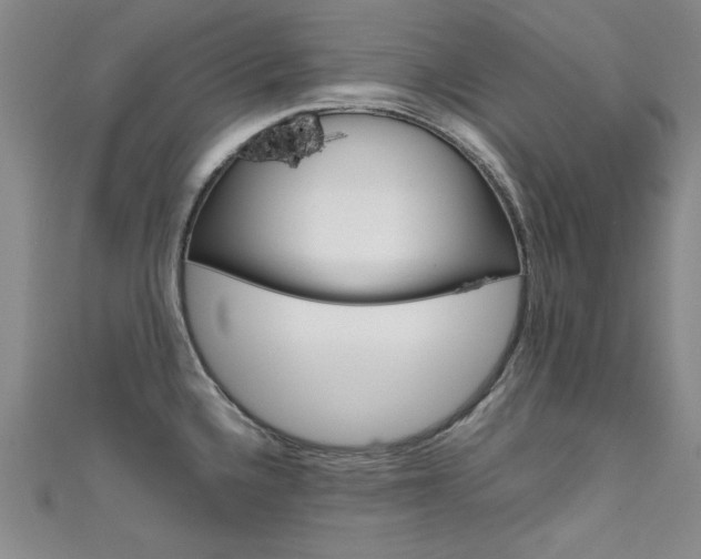 X0000111651336200907171051