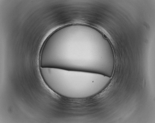X0000111651339200907171051