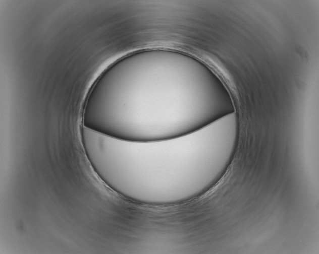 X0000111651340200907171051
