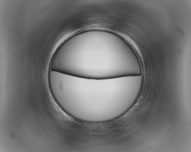 X0000111651341200907171051