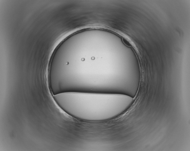 X0000111651343200907171051