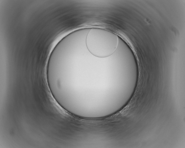 X0000111651344200907171051