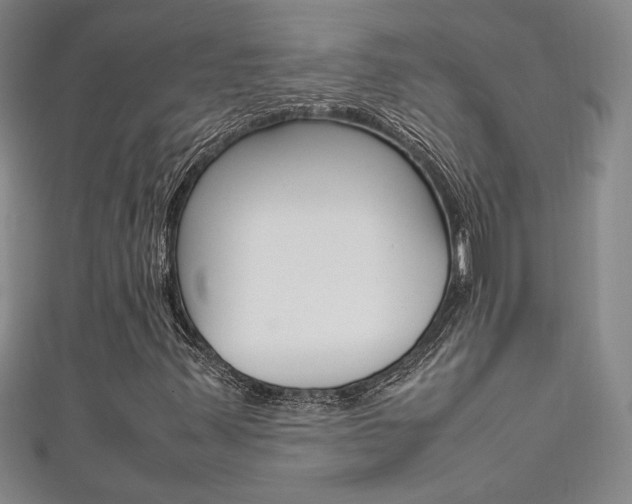 X0000111651347200907171050
