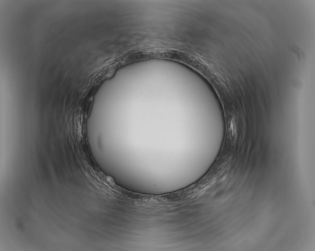X0000111651348200907171050