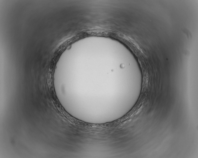 X0000111651350200907171050
