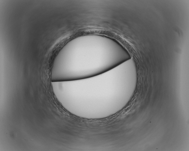 X0000111651351200907171050