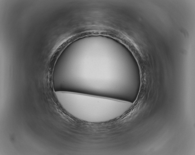 X0000111651352200907171050