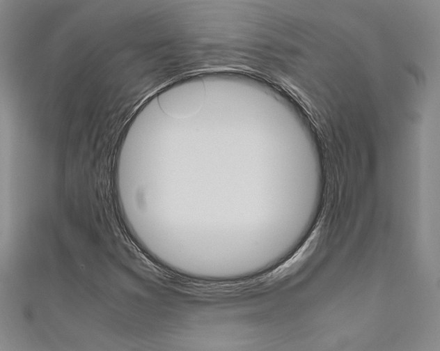 X0000111651353200907171050