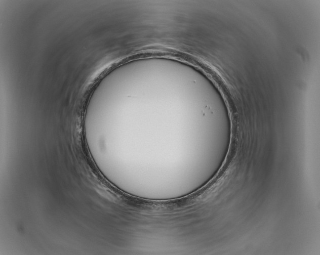 X0000111651355200907171050