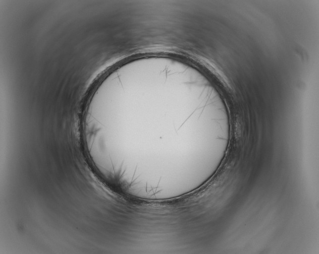 X0000111651356200907171050
