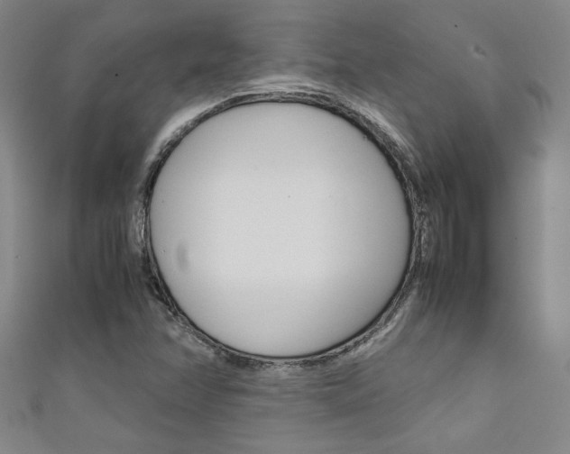 X0000111651358200907171050