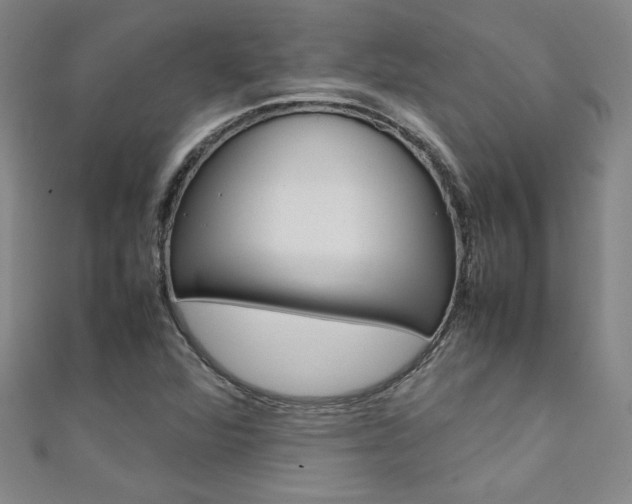 X0000111651360200907171050