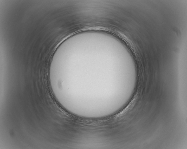 X0000111651361200907171050