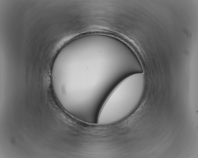 X0000111651363200907171050